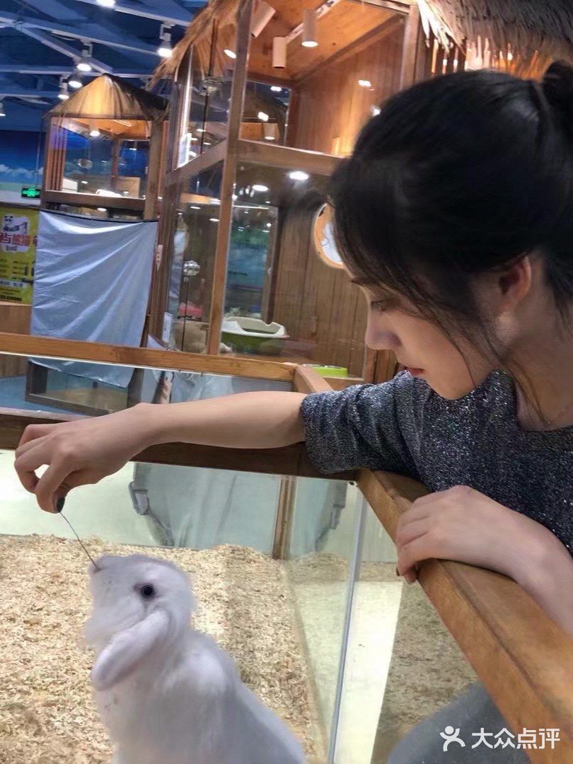 想要带回家的小可爱们！[鬼脸]