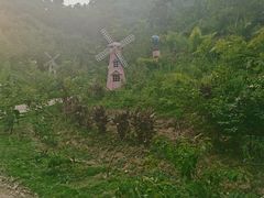 -清泉湾生态旅游度假区