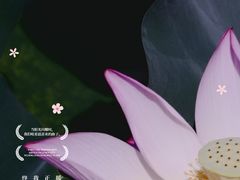 -荔湾湖公园