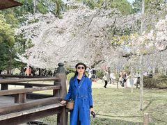 -醍醐寺
