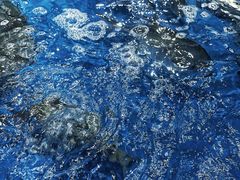 -盒马鲜生(曜一城店)