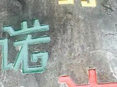 -呀诺达热带雨林