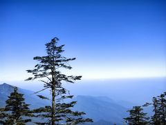 -瓦屋山景区