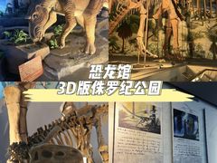 -中国西峡恐龙遗迹园