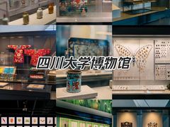 -四川大学博物馆