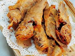 小黄鱼-海岛渔村大酒店(云霄路店)