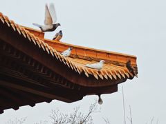 -石室禅院