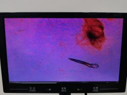 -痘院长·祛痘·科技美肤