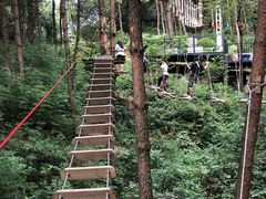 -梦幻奥陶纪景区