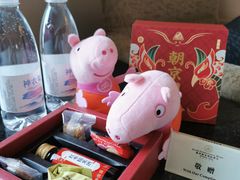 -惠州康帝国际酒店