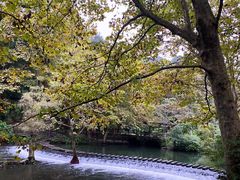 -阿哈湖国家湿地公园