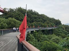-金鸡山公园