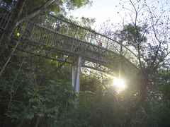 -福道