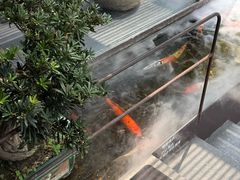 -长禧家.珑厨(东风东路店)