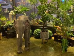 -LYFATTI 莱芙缇(赣水路店)