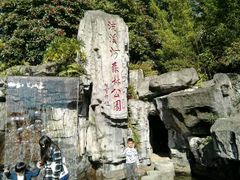 -广州市流溪河国家森林公园
