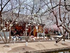 -春风习习