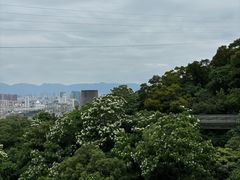 -福道