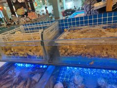 -梅园国际大酒店·自助餐厅(光明港店)