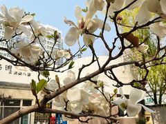 -启明东润幼儿园(东润园)