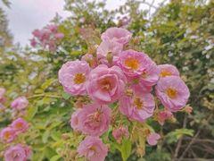 -人民公园(罗湖区)