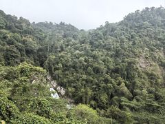 -海南热带雨林国家公园吊罗山景区