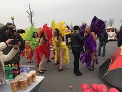 -荷兰花海