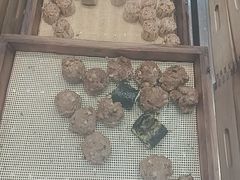 -包道广式点心专门店(振业店)