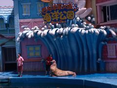 -华夏文旅海洋公园