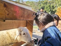 -HERRE·FARM 赫尔露营农场·团建聚会包场