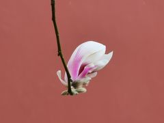 -东华门大街小区