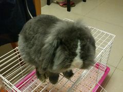 -龙猫仔乐园(惠福东路店)