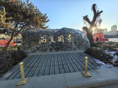 -张掖大佛寺景区