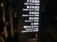 -三亚湾红树林度假世界(木棉酒店)