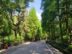 -青城山