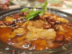 -芙蓉凰花园酒楼