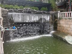 -荔湾湖公园