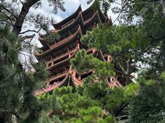 -黄鹤楼公园(黄鹤楼)