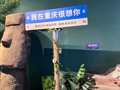 -重庆欢乐海底世界