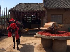 -白鹿原影视城