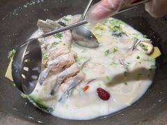 -鲜潭蒸汽石锅鱼(五道口购物中心店)