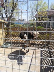 点击看大图 -萌宠亲子动物乐园(槐房万达店)