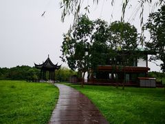 -南湖湿地公园