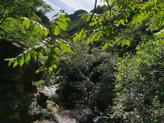 -云岫谷游猎自然风景区