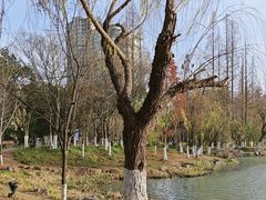 -南通濠河风景名胜区