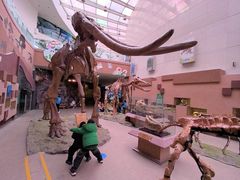 -陕西自然博物馆