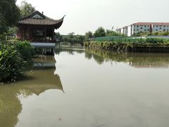 -宏泰园蔬果专业合作社