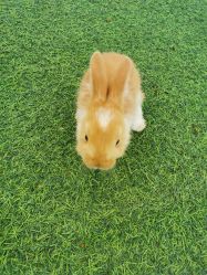 -萌宠亲子动物乐园(槐房万达店)