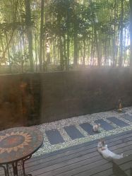 -馨月汇·一悦馨香月子中心(前滩店)
