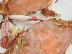 -四海鲜渔家菜(黄金海岸店)